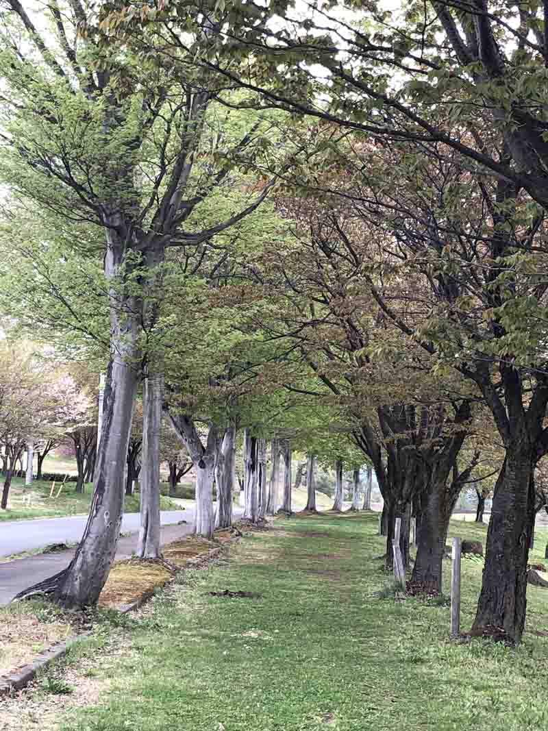 運動公園