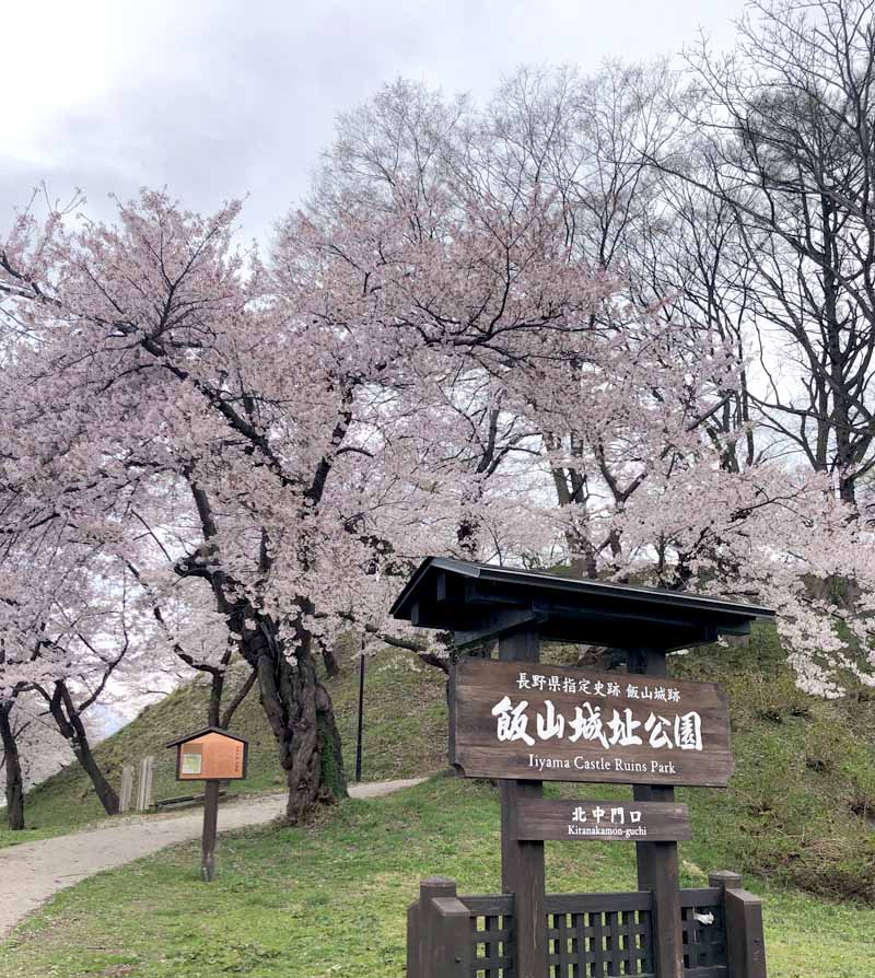 飯山城址公園