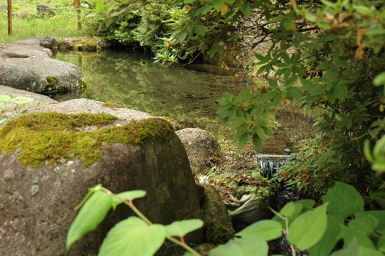 龍興寺清水のわき出ている池の写真