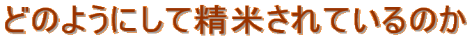 作業風景