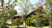 20130517_143925.jpg