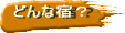 �ǂ�ȏh�H